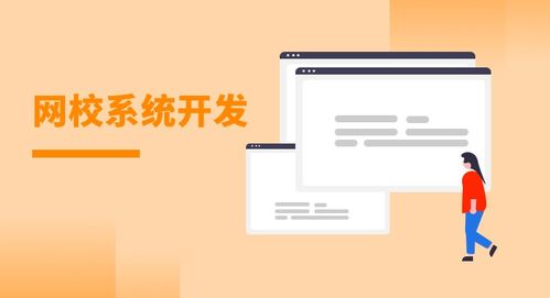 網校系統軟件開發需解決那些問題